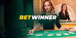 Discover the Features of Betwinner Betting Platform